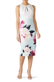 Annile Dress by Ted Baker