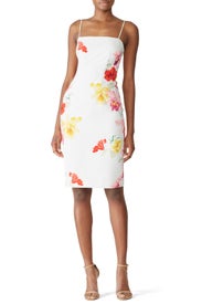 Sajae Sheath by Black Halo