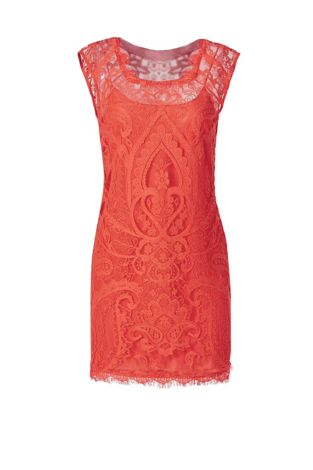 Apricot Spritzer Sheath by Nicole Miller 0