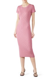 Short Sleeve Knit Midi Sheath by 525 America