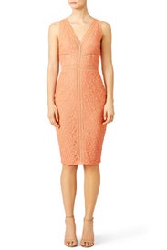 Orange Straight Edge Lace Sheath by Bailey 44