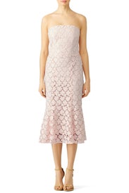 Blush Franklin Midi Dress by Shoshanna