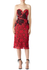 Strapless Lace Dress by NAEEM KHAN