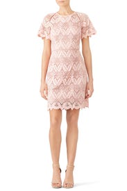 Laced Elora Dress by STYLESTALKER