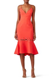 Phoenix Dress by Nicholas