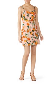 Adara Dress by Parker