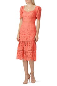 Louisa Midi Dress by Saylor