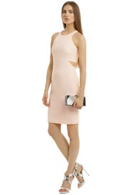 Fade to Blush Sheath by Elizabeth and James