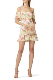 Hyacinth Dress by Reformation