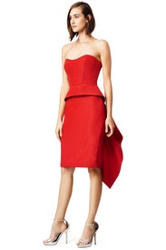 Presenting Dress by Monique Lhuillier