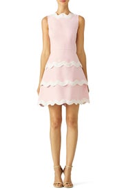 Blush Ric Rac Dress by Sail to Sable