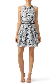 Ink Mark Dress by Carven