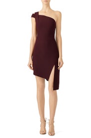 Plum Candice Dress by AQ/AQ