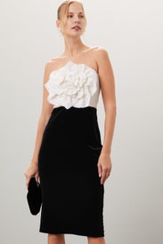 Rose Bodice Dress by Badgley Mischka