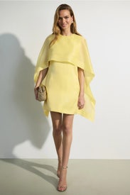 Cape Detail Midi Dress by Alberta Ferretti