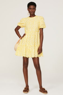 ted baker cornila dress