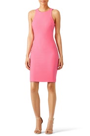 Pink Kenna Dress by Elizabeth and James