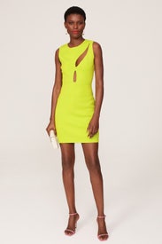 Cutout Mini Dress by Esteban Cortazar x RTR