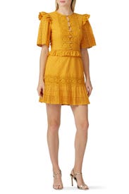 Layla Dress by Saylor