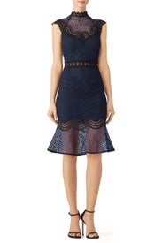 Navy Lace Flare Sheath by Saylor