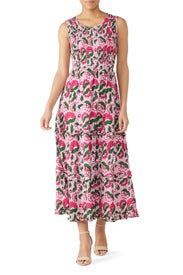 Pink Isha Maxi by Banjanan