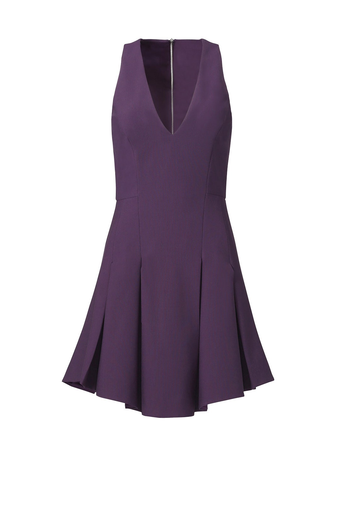 Plum Christine Dress by Elizabeth and James 3