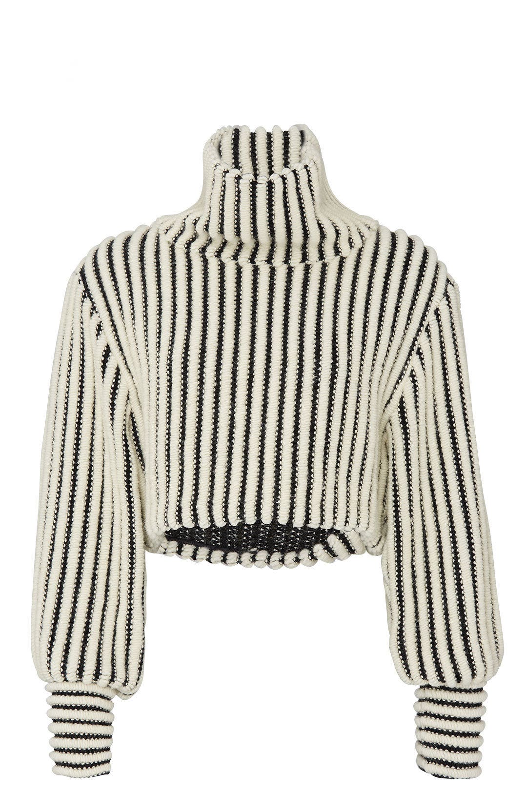 Jane Cropped Turtleneck by Sid Neigum 4