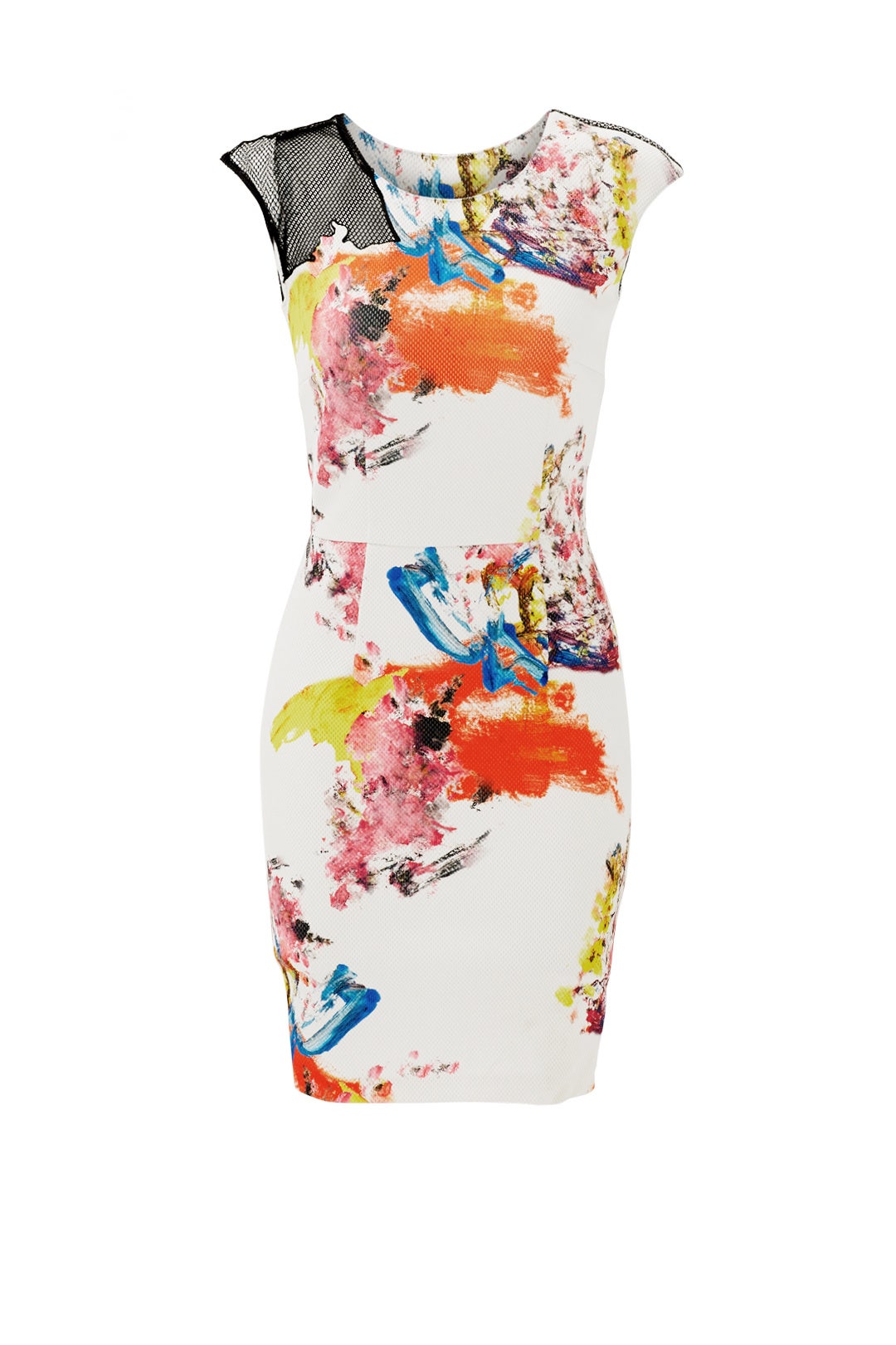 Floral Jackson Sheath by Sachin & Babi 3