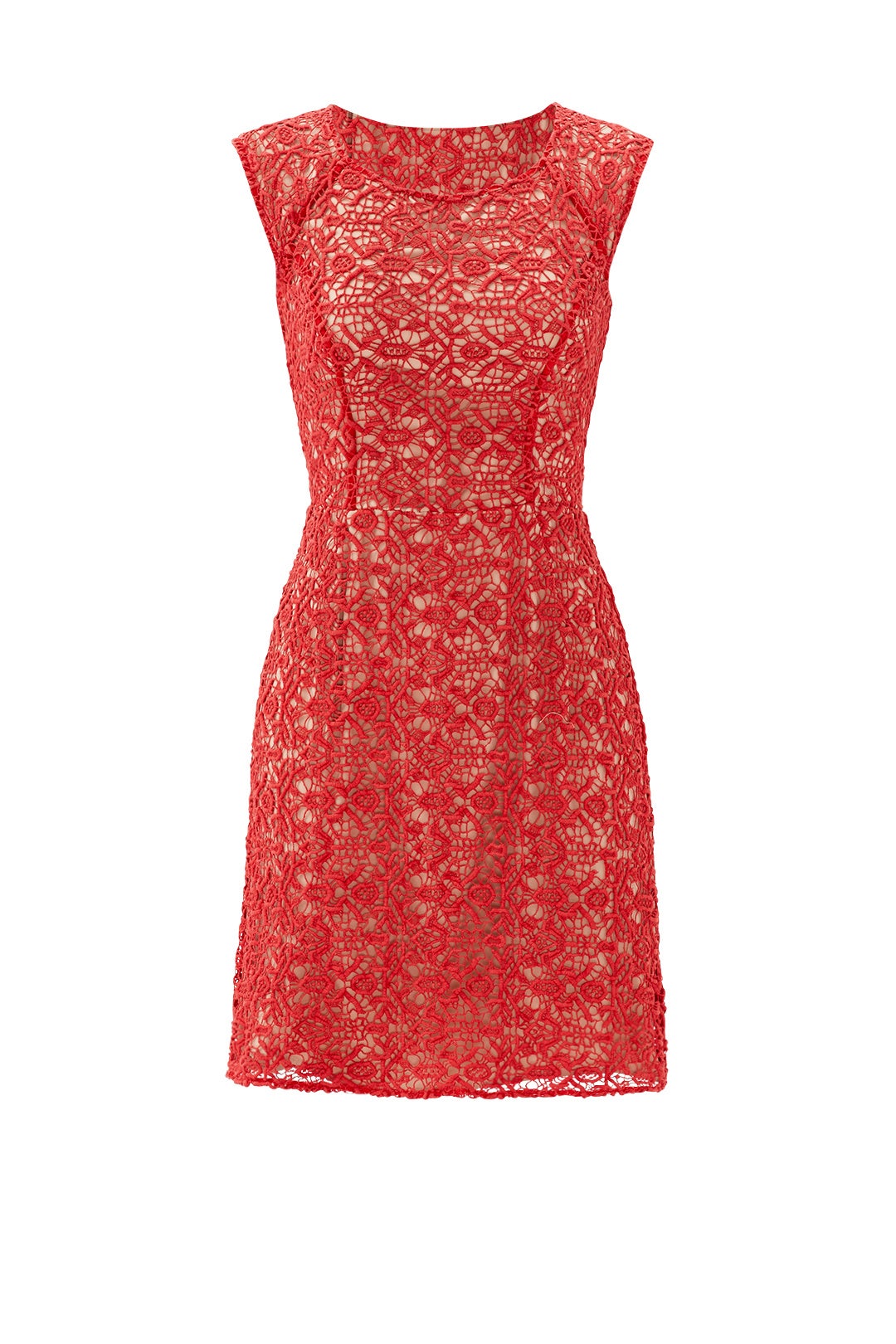All About Crochet Sheath by Alice by Temperley 3