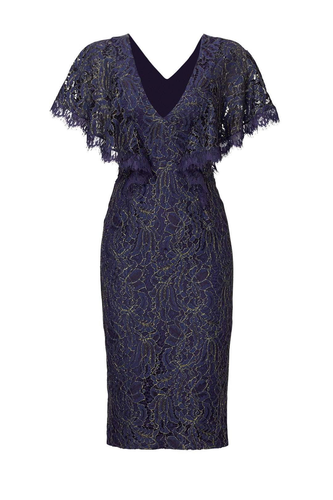 Blue Lace Flutter Sheath by Dress The Population 3