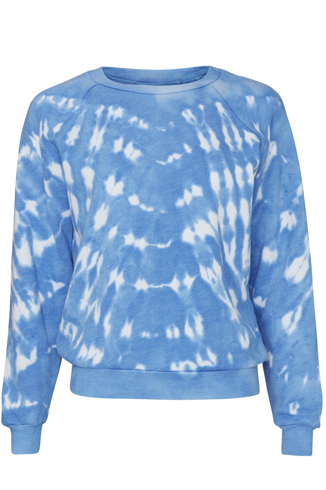 Fiona Sweatshirt by Wildfox 3