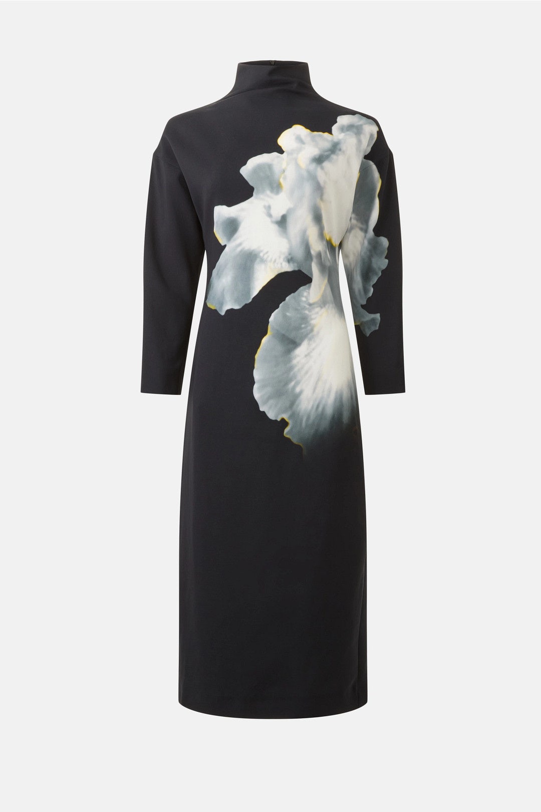 Mock Neck Floral Print Dress by Alberta Ferretti 4