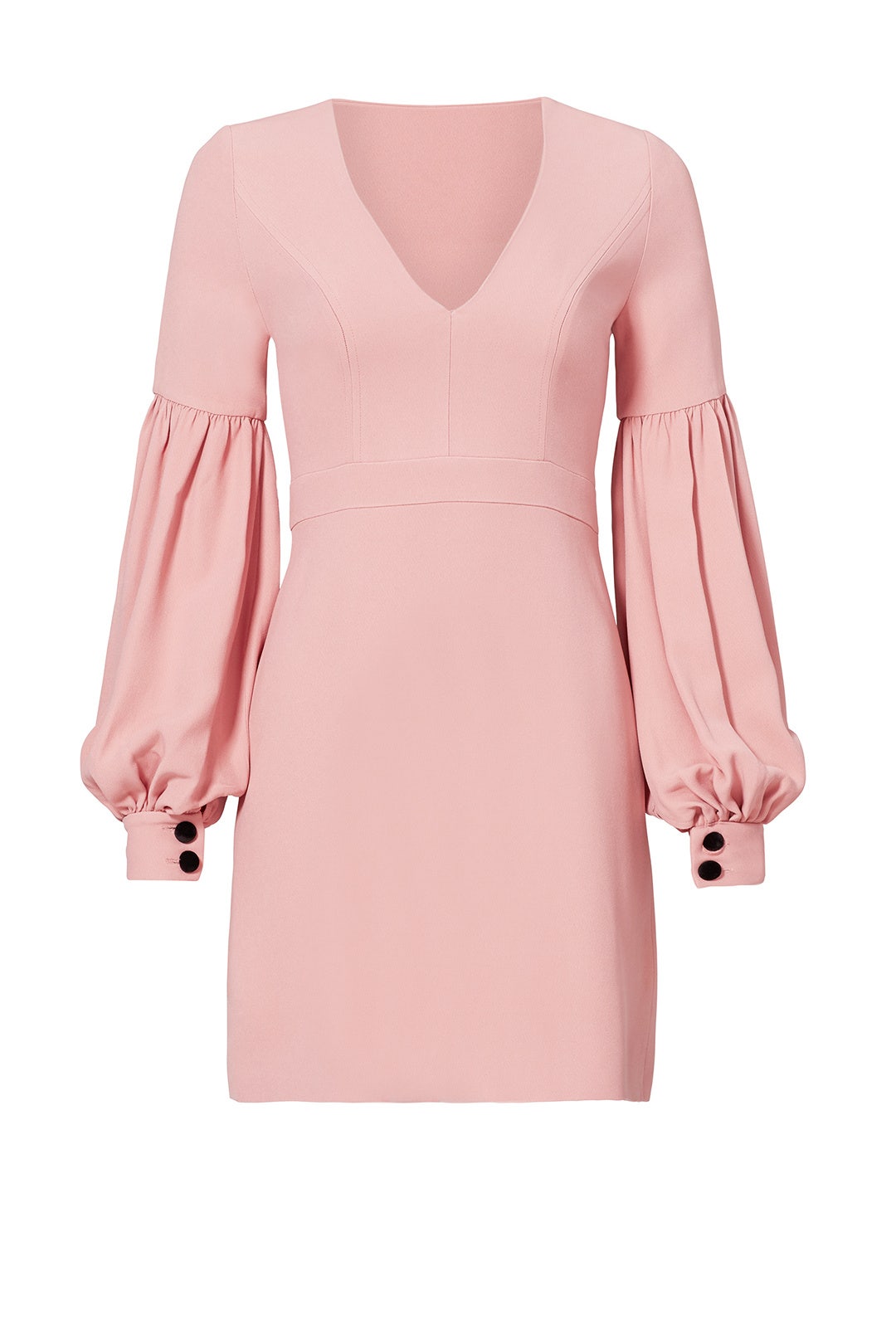 Pink Ellena Dress by Alexis 3