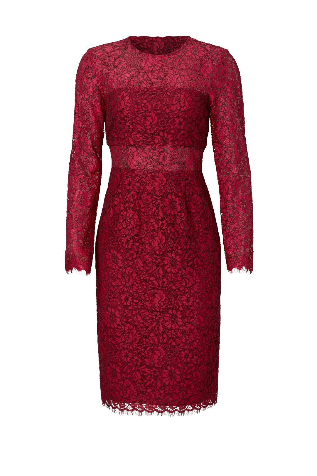 Garnet Illusion Lace Sheath by Shoshanna 3