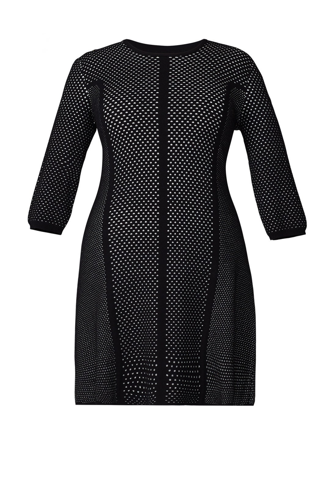 Contrast Dot Mesh Dress by Rachel Rachel Roy 3