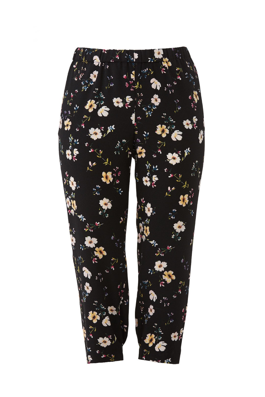 Zuma Pull On Pants by Rachel Rachel Roy
