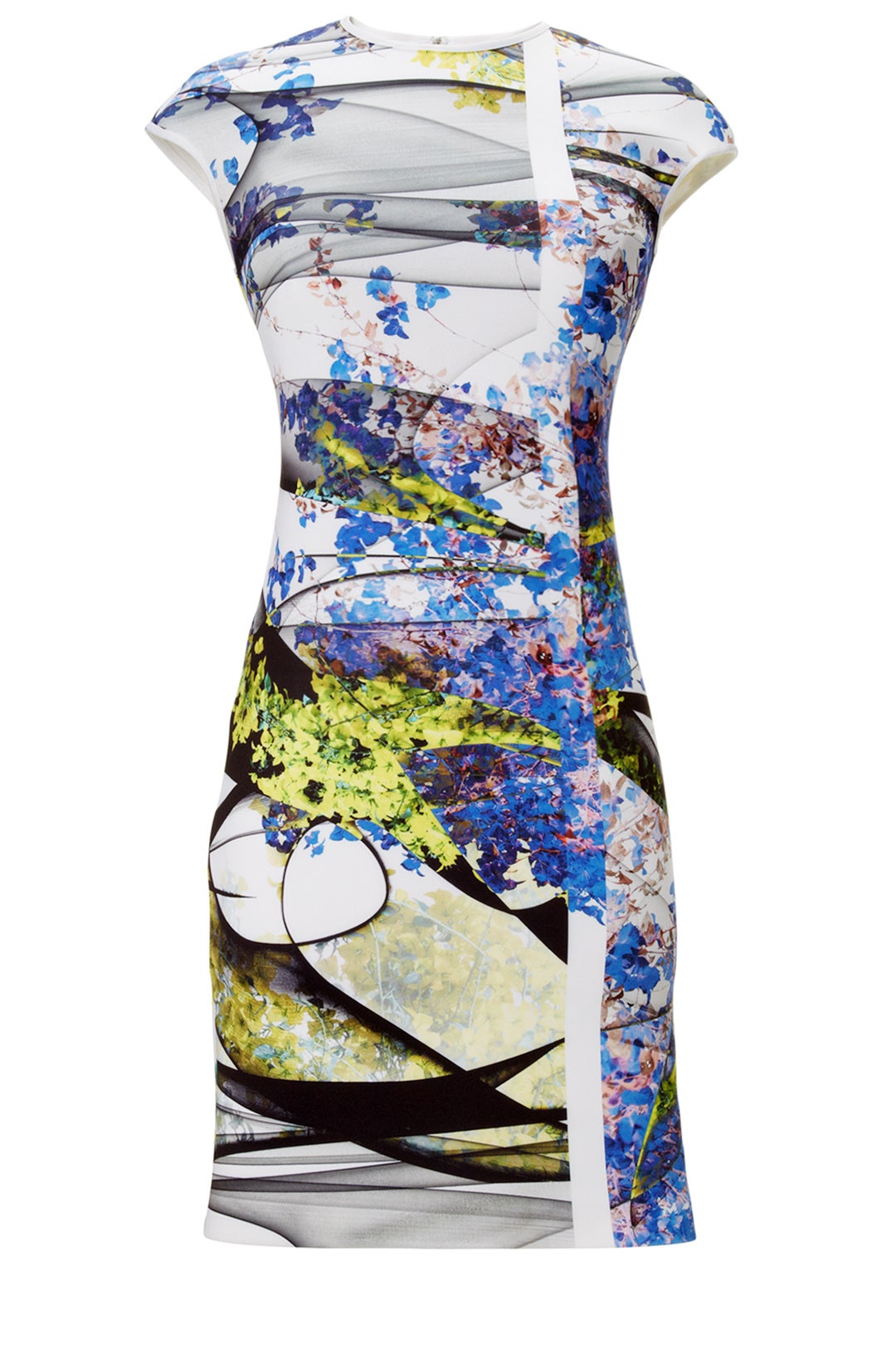 Space Garden Print by Clover Canyon