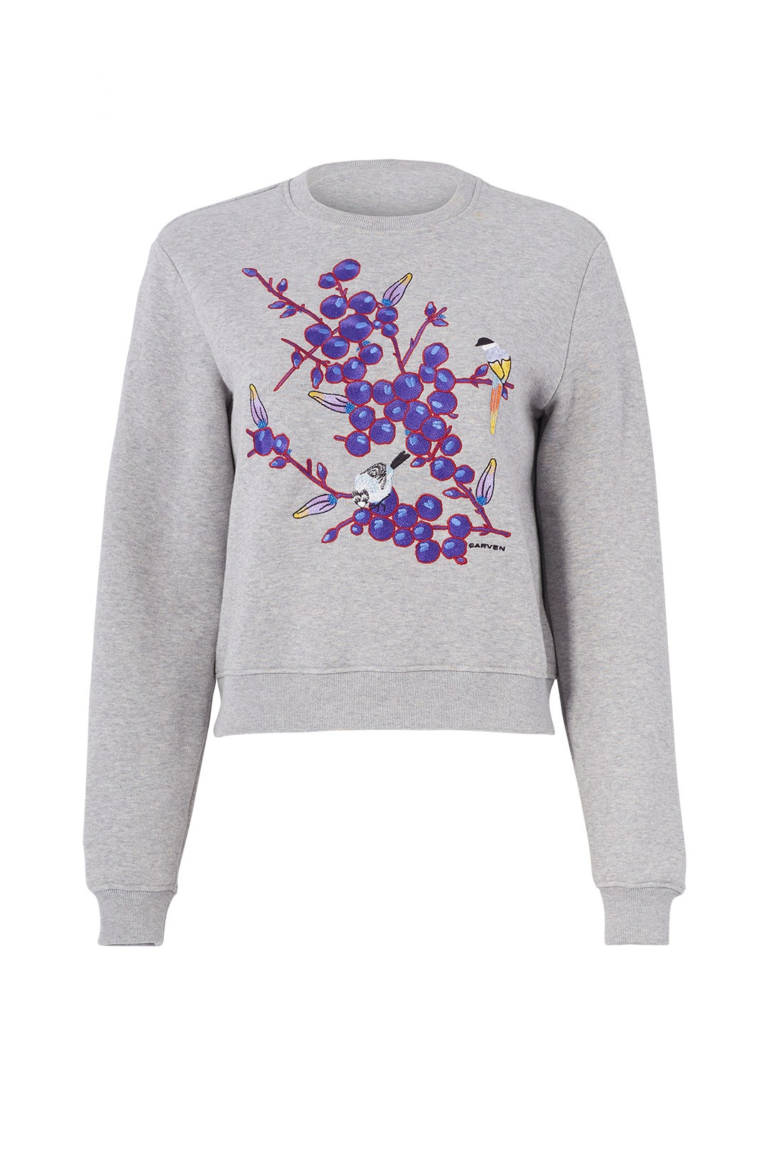 Embroidered Sweatshirt by Carven 3