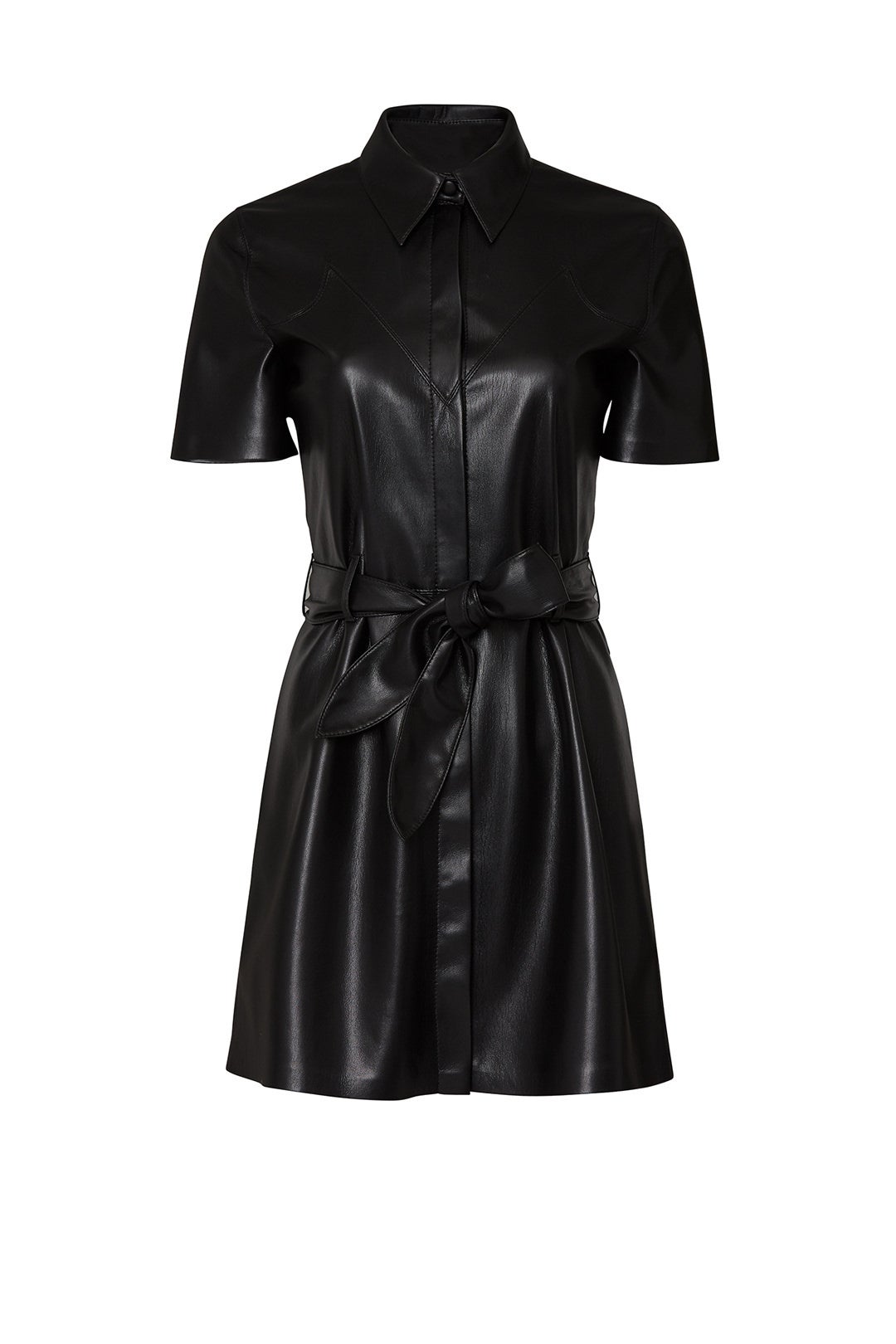 Roberta Dress by Nanushka 3