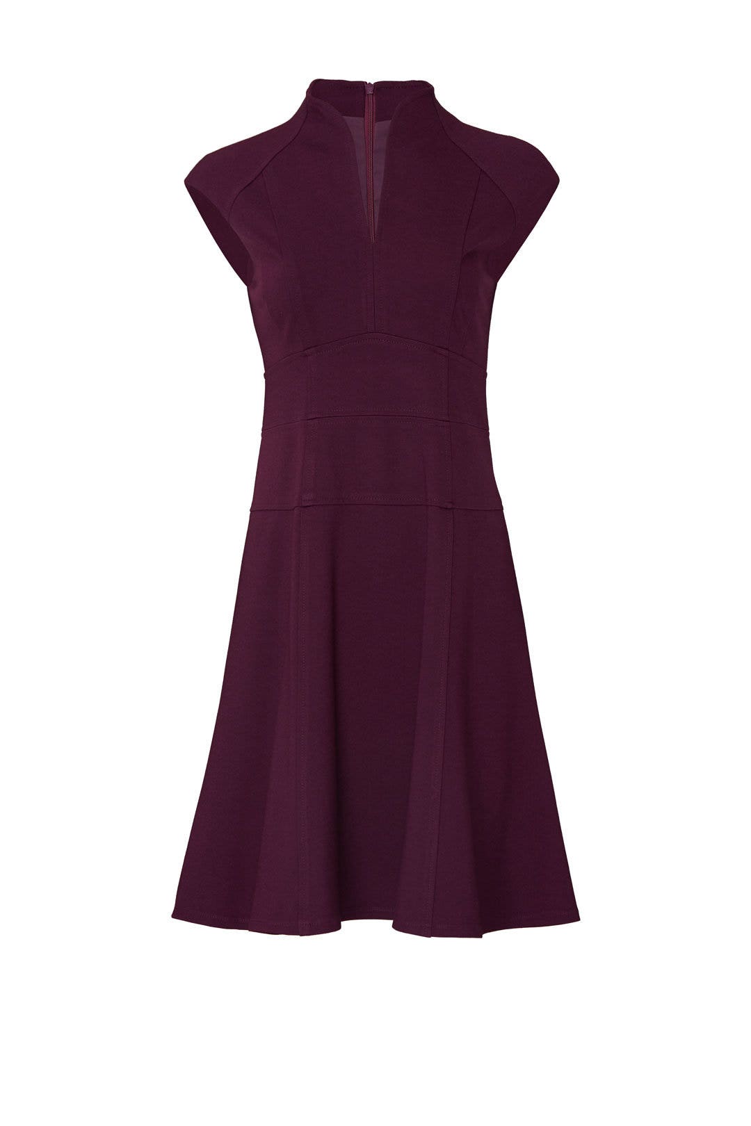Plum Flare Dress by Nanette Lepore 4