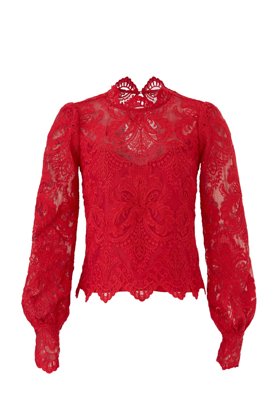 Lace Norma Top by Saylor