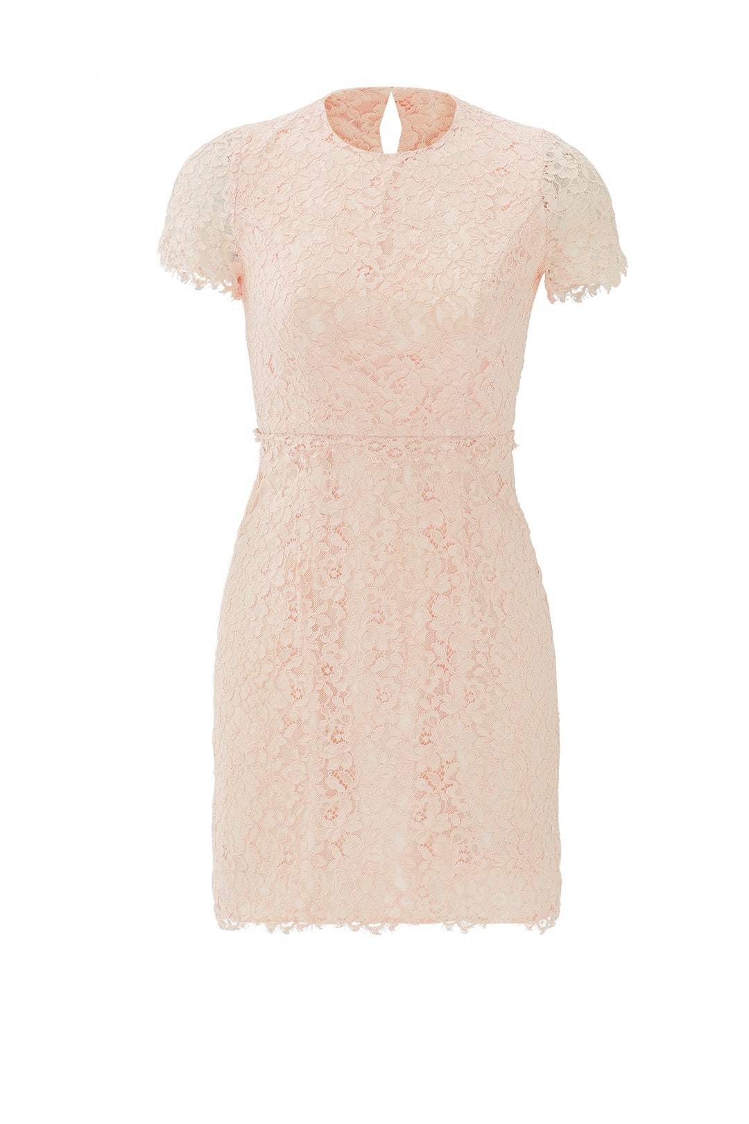 Petal Lace Valeria Dress by Shoshanna 3