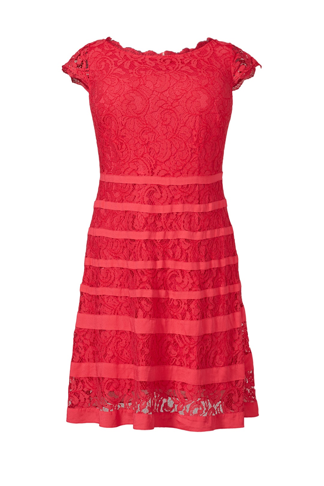 Begin Again Dress by Adrianna Papell 3