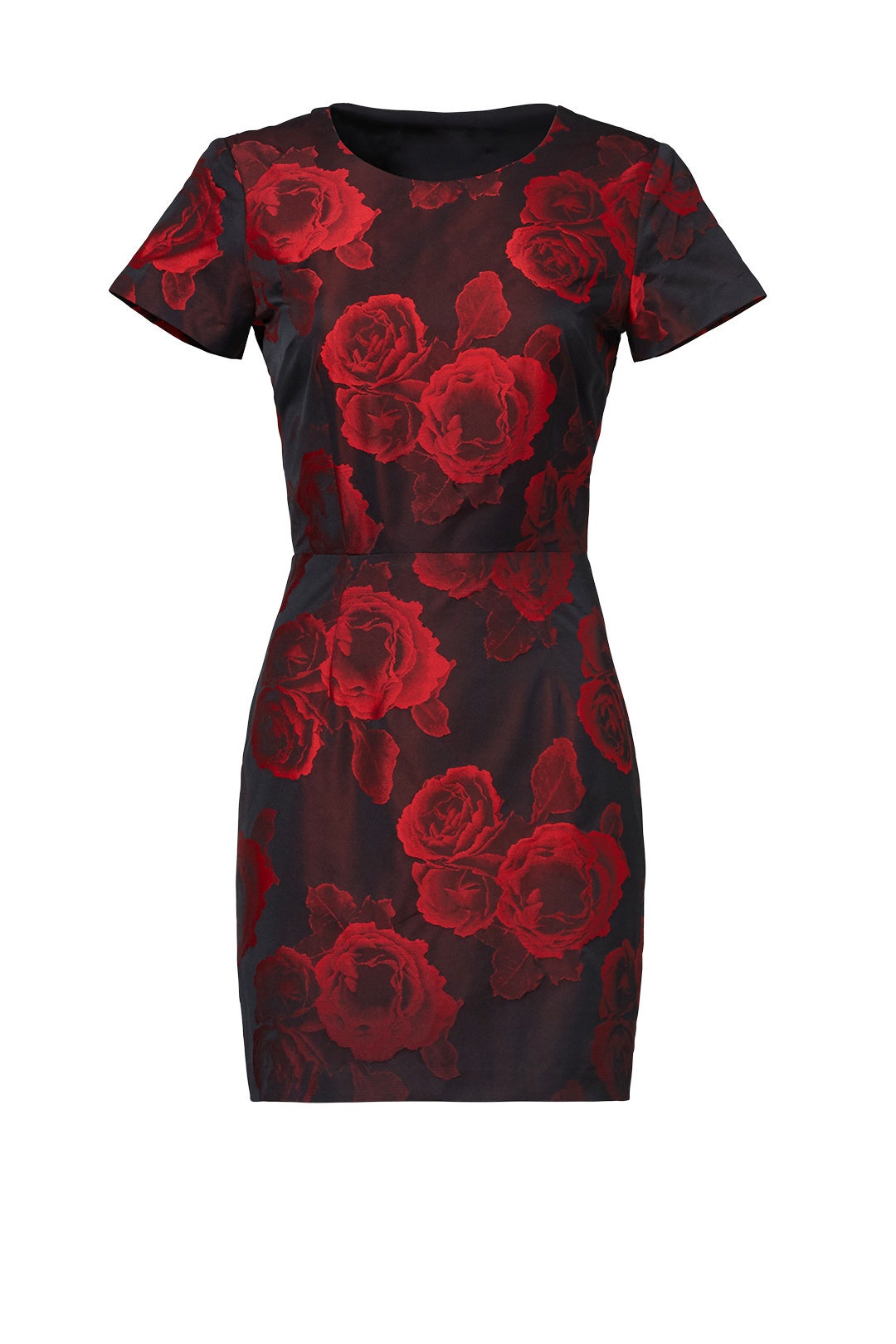 Rose Ruffle Back Sheath by Amanda Uprichard 3