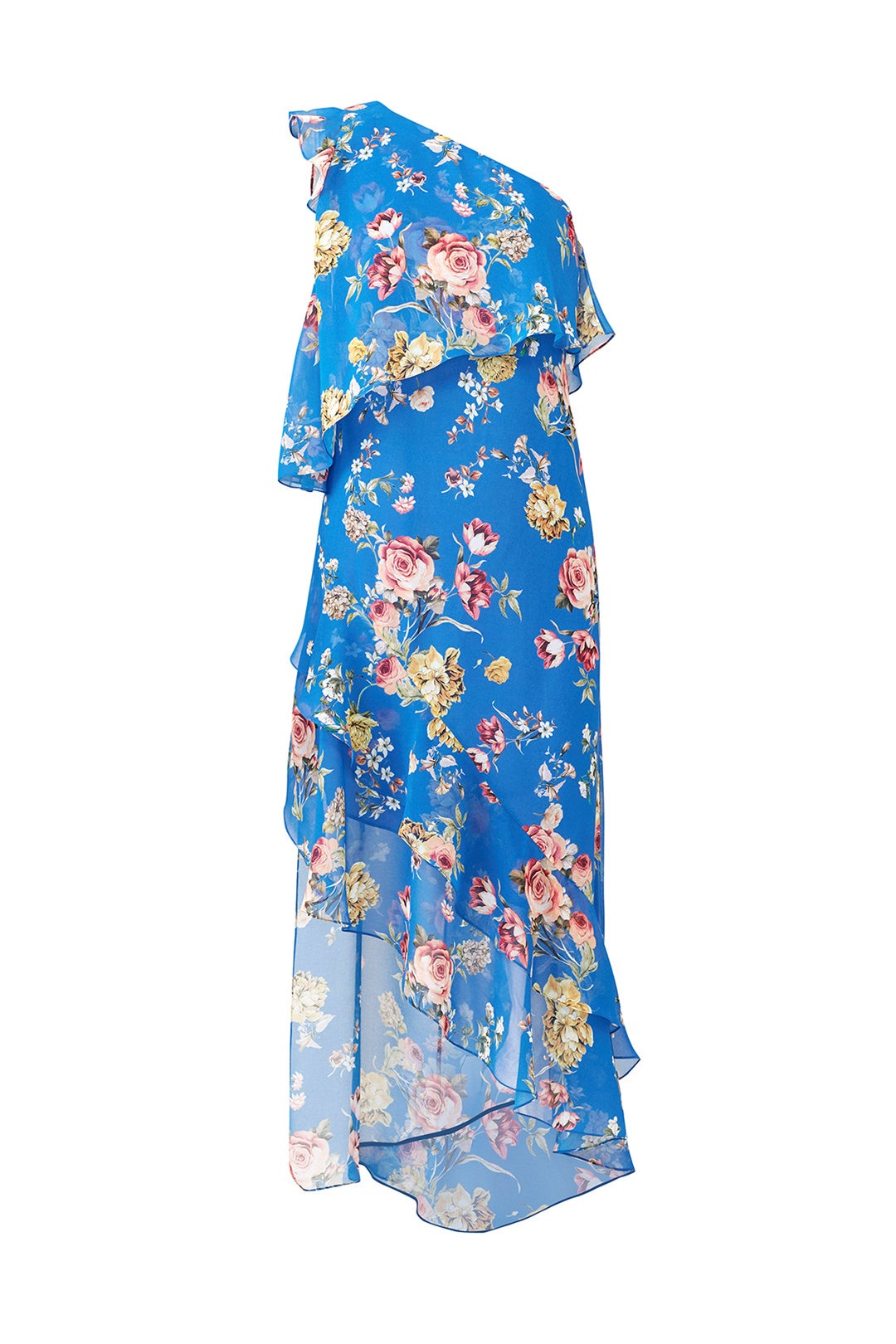 Blue Floral Maxi by Slate & Willow 3