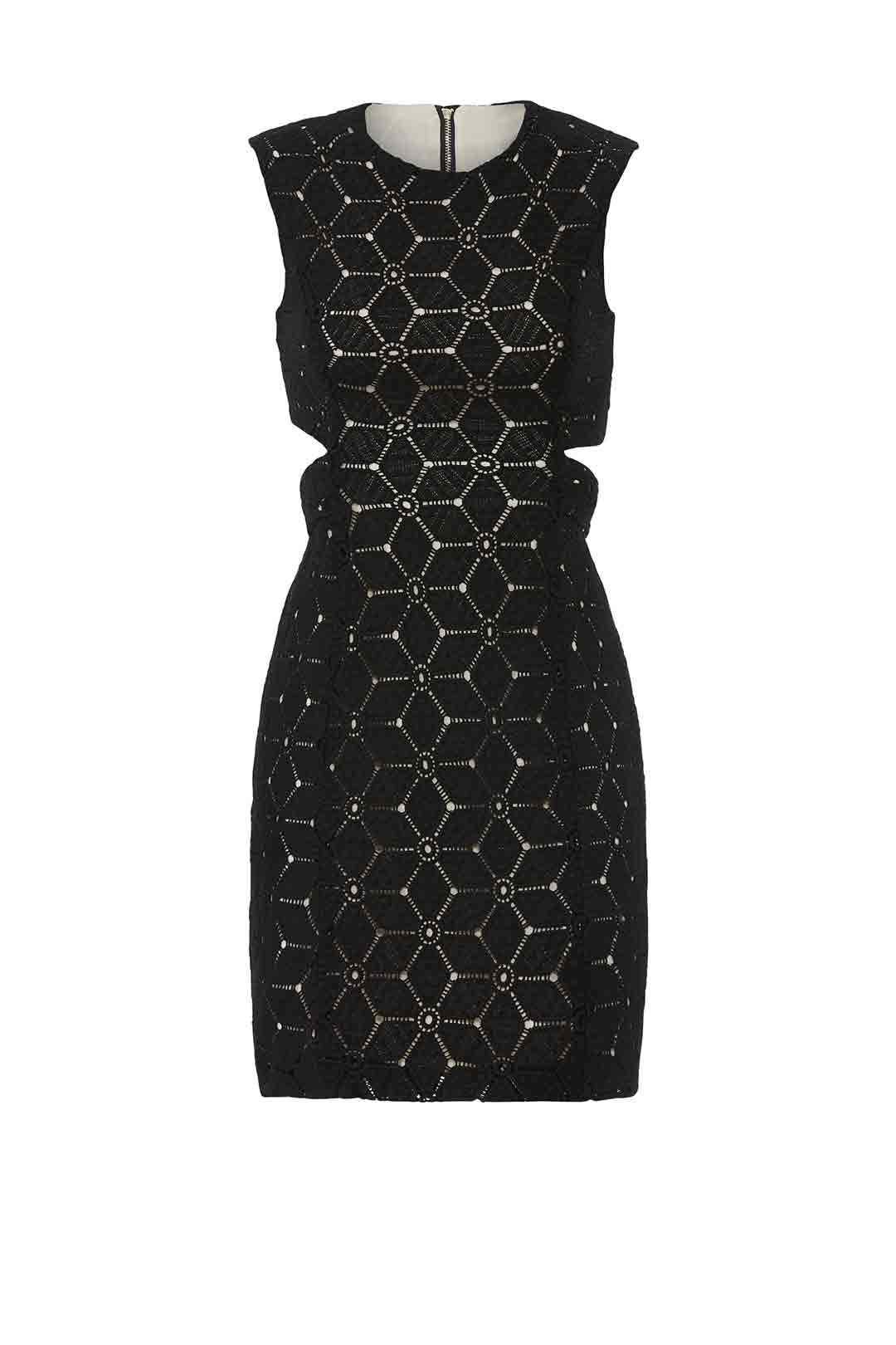 Embroidered Cut Out Sheath by Aijek