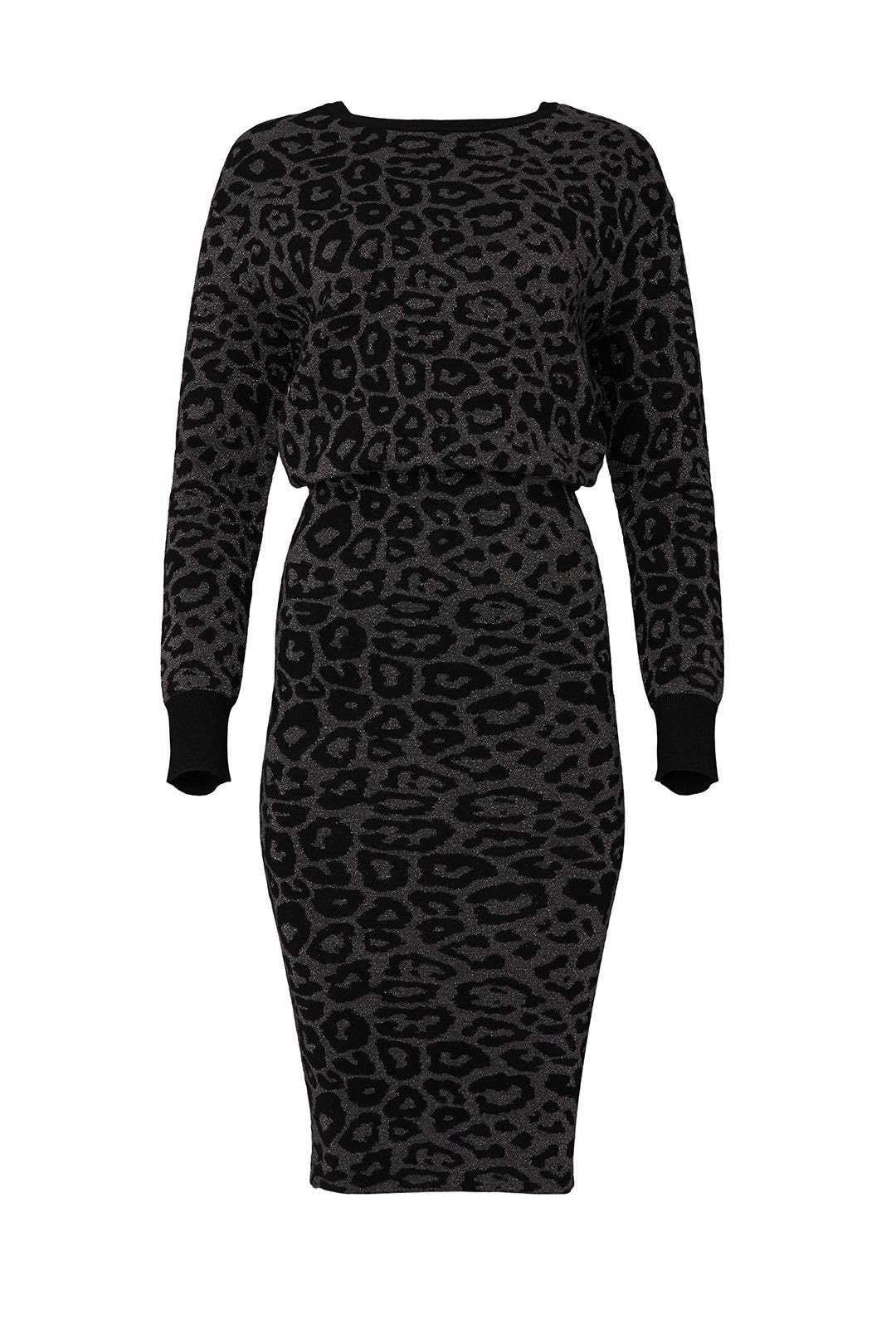 Cheetah Roxanne Dress by AllSaints 4