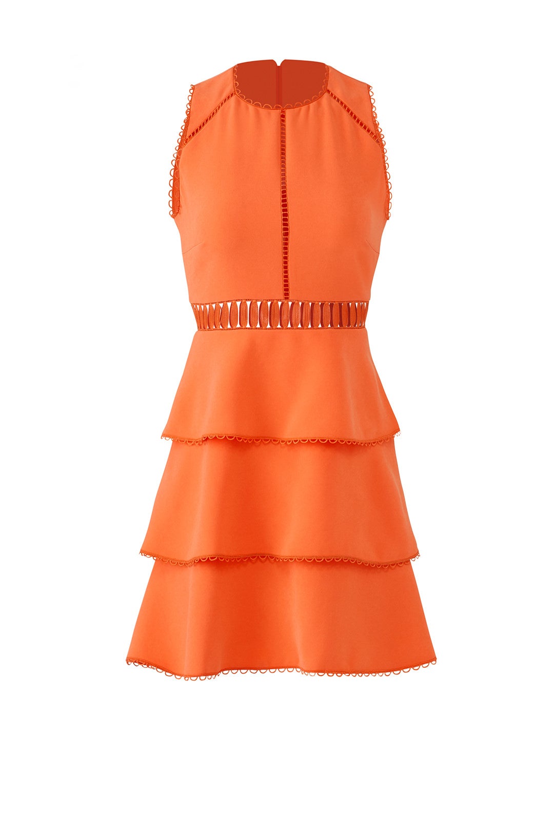 Nectarine Vanessa Dress by Rachel Zoe 3