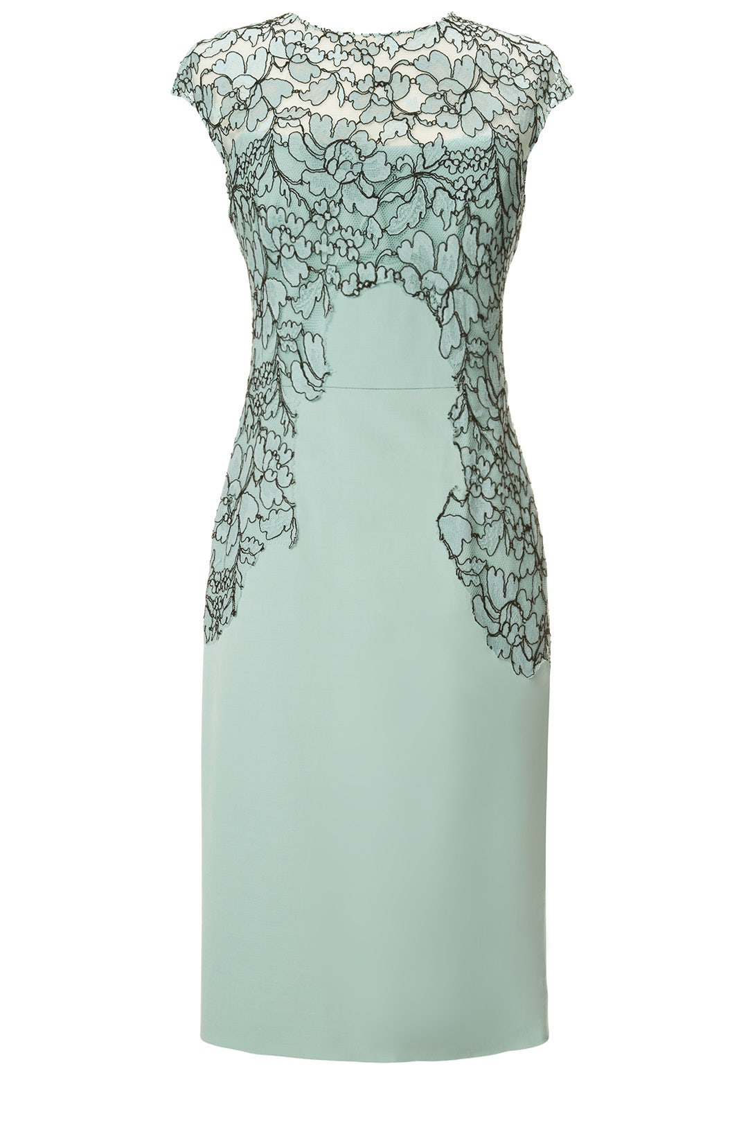 Floral Frame Sheath by Lela Rose 3