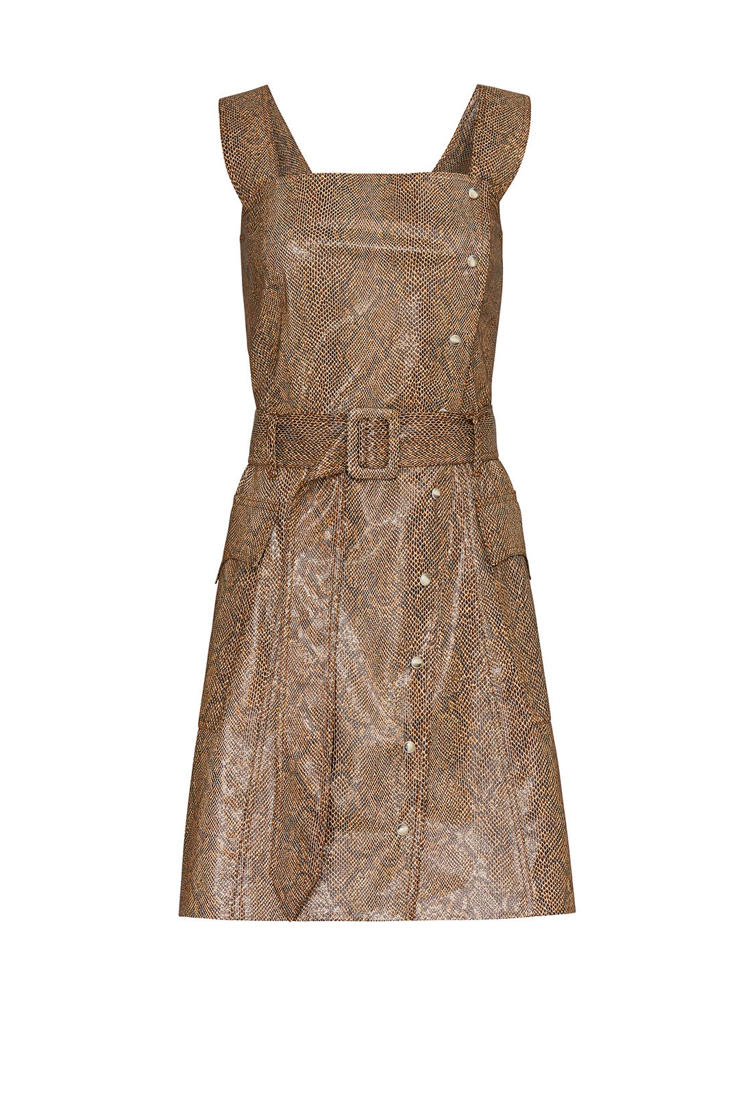 Snake Print Lorena Dress by Nanushka 3
